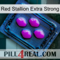 Red Stallion Extra Strong 04